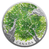 30 $ Dollar Canadian Canopy - The Maple Leaf Kanada 2 oz Silber PP 2018 **
