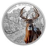 30 $ Dollar Imposing Icons Series: White-Tailed Deer - Weißwedelhirsch Kanada 2 oz Silber PP 2021 **