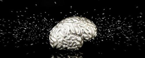 5 $ Dollar The Brain - Das Gehirn 3D Samoa 2 oz Silber Matte-Prooflike 2023