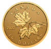 10 $ Dollar Everlasting Maple Leaf Kanada 1/20 oz Gold Reverse Proof 2022