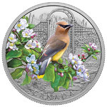 20 $ Dollar Colourful Birds - Cedar Waxwing - Zedernseidenschwanz Kanada 1 oz Silber PP 2022 **
