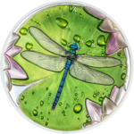 5 $ Dollar Lily Pad Dragonfly - Seerosenblatt Libelle Ultra High Relief Palau 1 oz PP Silber 2024 **